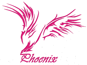 Веб студия Phoenix